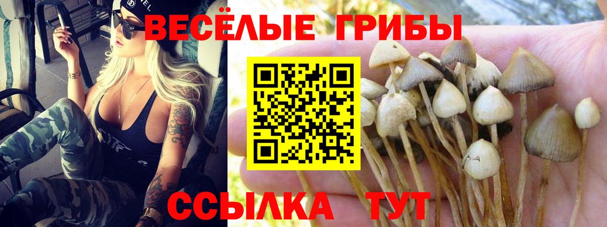 Нижний Тагил  Псилоцибиновые грибы Cubensis  Вход с VPN 