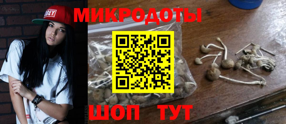 Галлюциногенные грибы прущие грибы Нижний Тагил